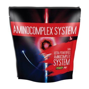 Power Pro AminoComplex System (повреждена целостность упаковки) (500 g, журавлина) 06788-01_U002273 фото