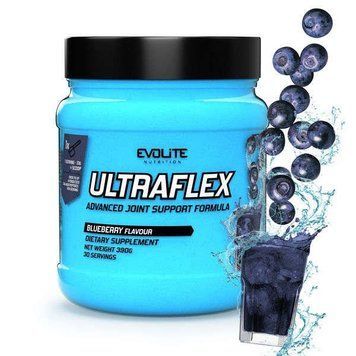 Evolite Nutrition Ultra Flex (390 g, blueberry) 22170-01 фото