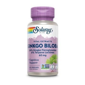 Solaray Ginkgo Biloba Leaf Extract (60 veg caps) 20479-01 фото